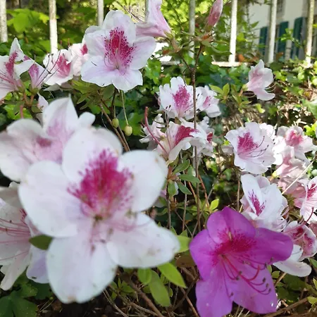 Pan Demeure Et Granges Montesquieu-Avantes