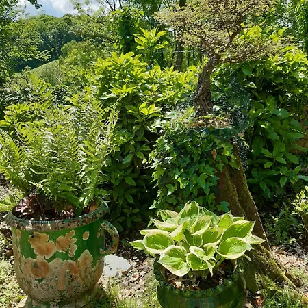 Auberge de jeunesse Pan Demeure Et Granges *