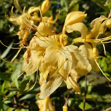 Pan Demeure Et Granges Auberge de jeunesse Montesquieu-Avantes