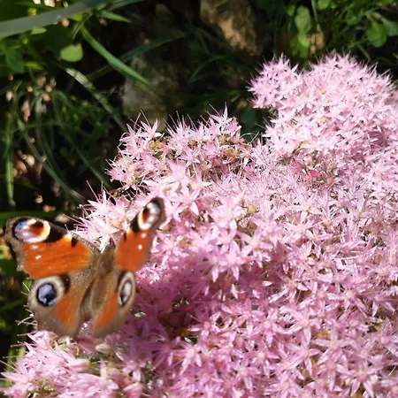 Pan Demeure Et Granges Hostel