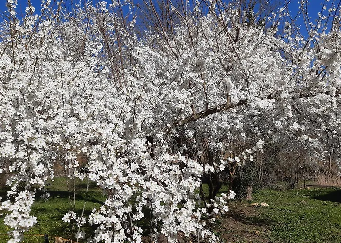 Pan Demeure Et Granges Hostel