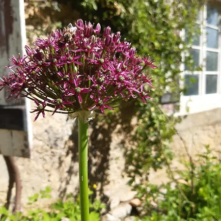 Hostel Pan Demeure Et Granges *