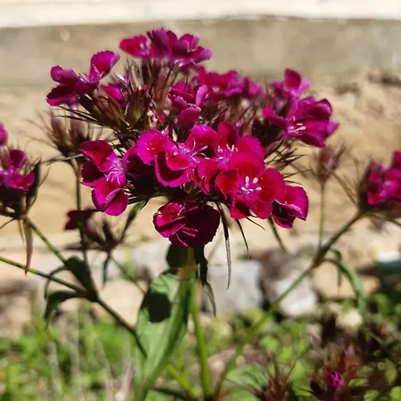 Hostel Pan Demeure Et Granges Montesquieu-Avantes