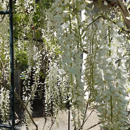 Pan Demeure Et Granges Montesquieu-Avantes