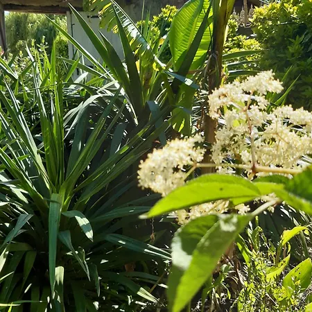 Pan Demeure Et Granges * Montesquieu-Avantes