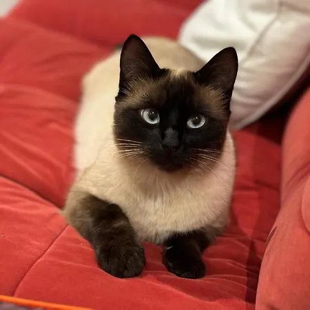 Pan Demeure Et Granges Hostel Montesquieu-Avantes