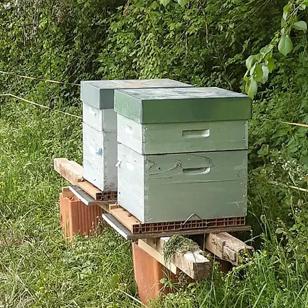 Pan Demeure Et Granges Montesquieu-Avantes