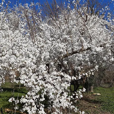 Pan Demeure Et Granges Hostel