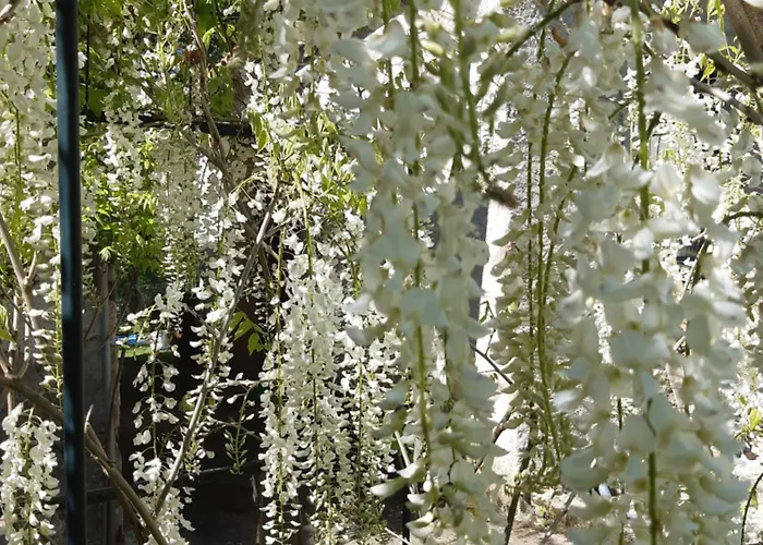 Pan Demeure Et Granges Montesquieu-Avantes