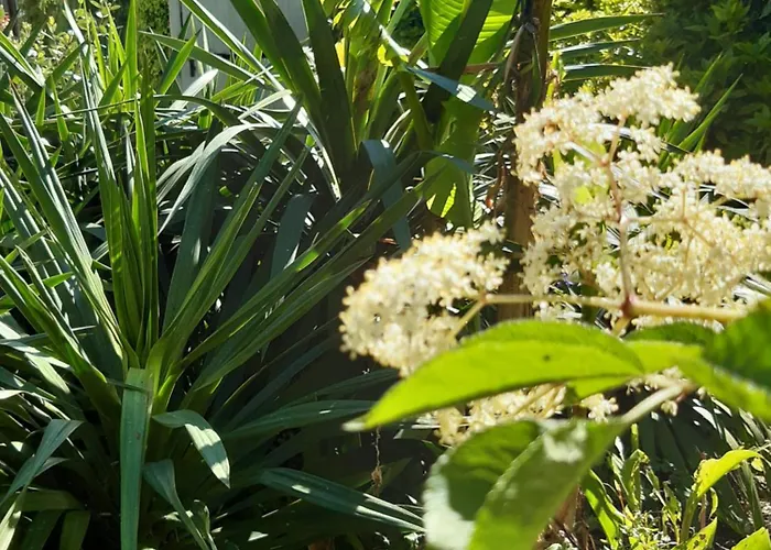 Pan Demeure Et Granges * Montesquieu-Avantes