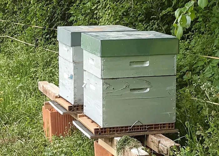 Pan Demeure Et Granges Montesquieu-Avantes