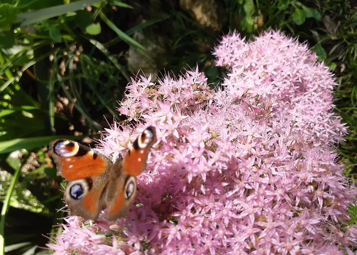 Pan Demeure Et Granges Hostel